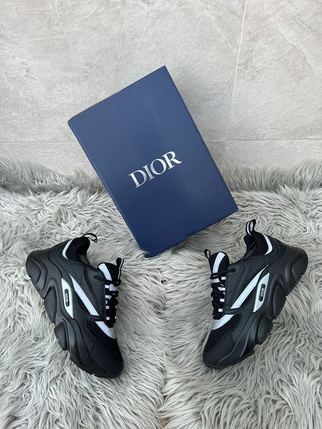 DIOR B22