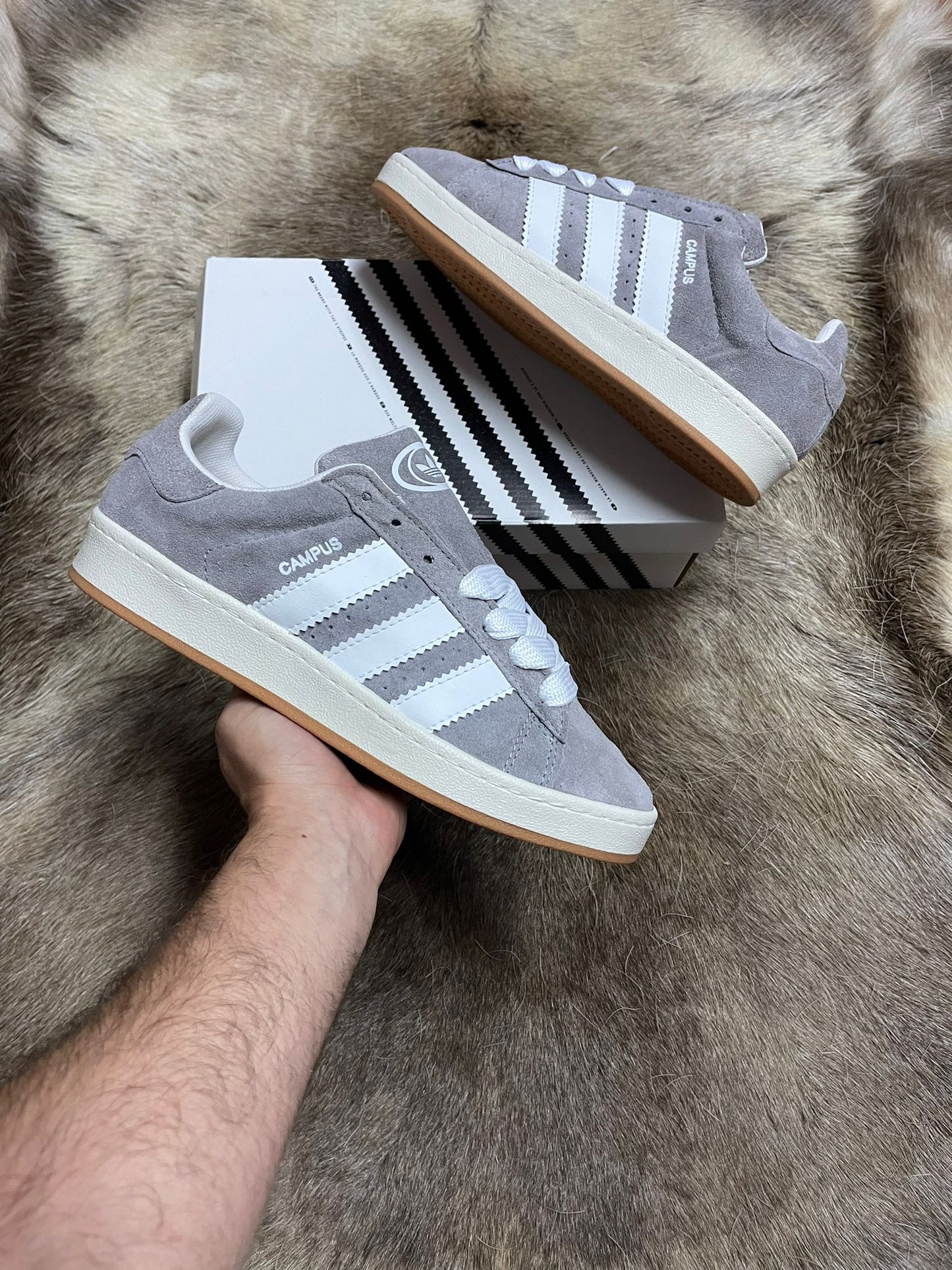 ADIDAS CAMPUS GRIS
