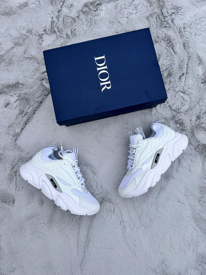 DIOR B22